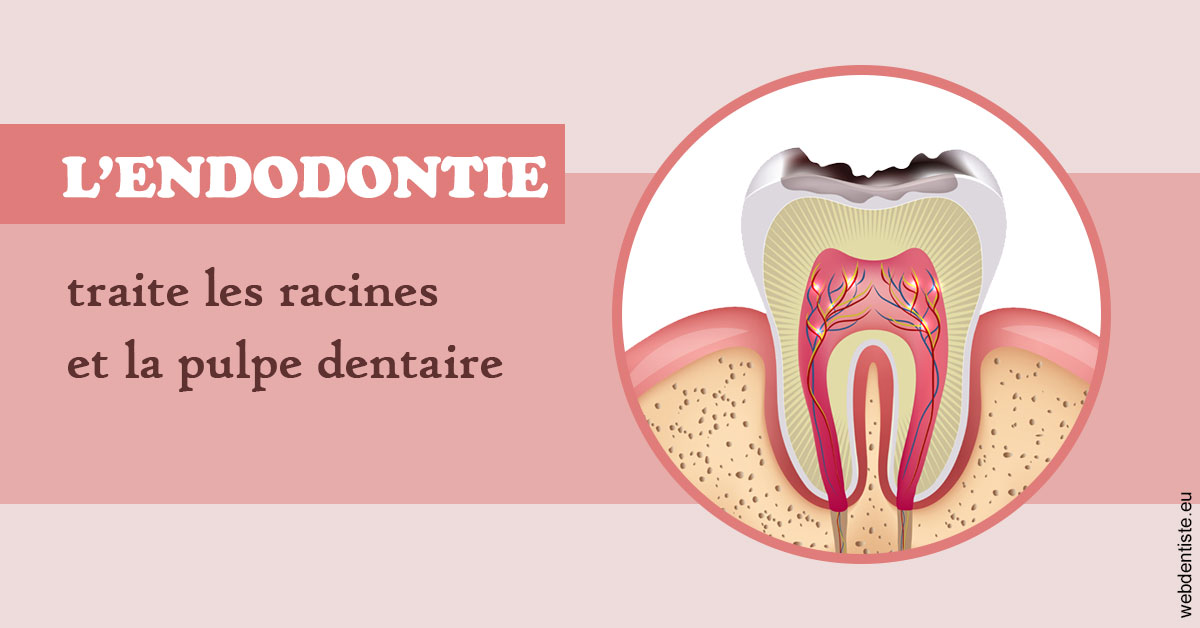 https://selarl-dr-gombauld.chirurgiens-dentistes.fr/L'endodontie 2